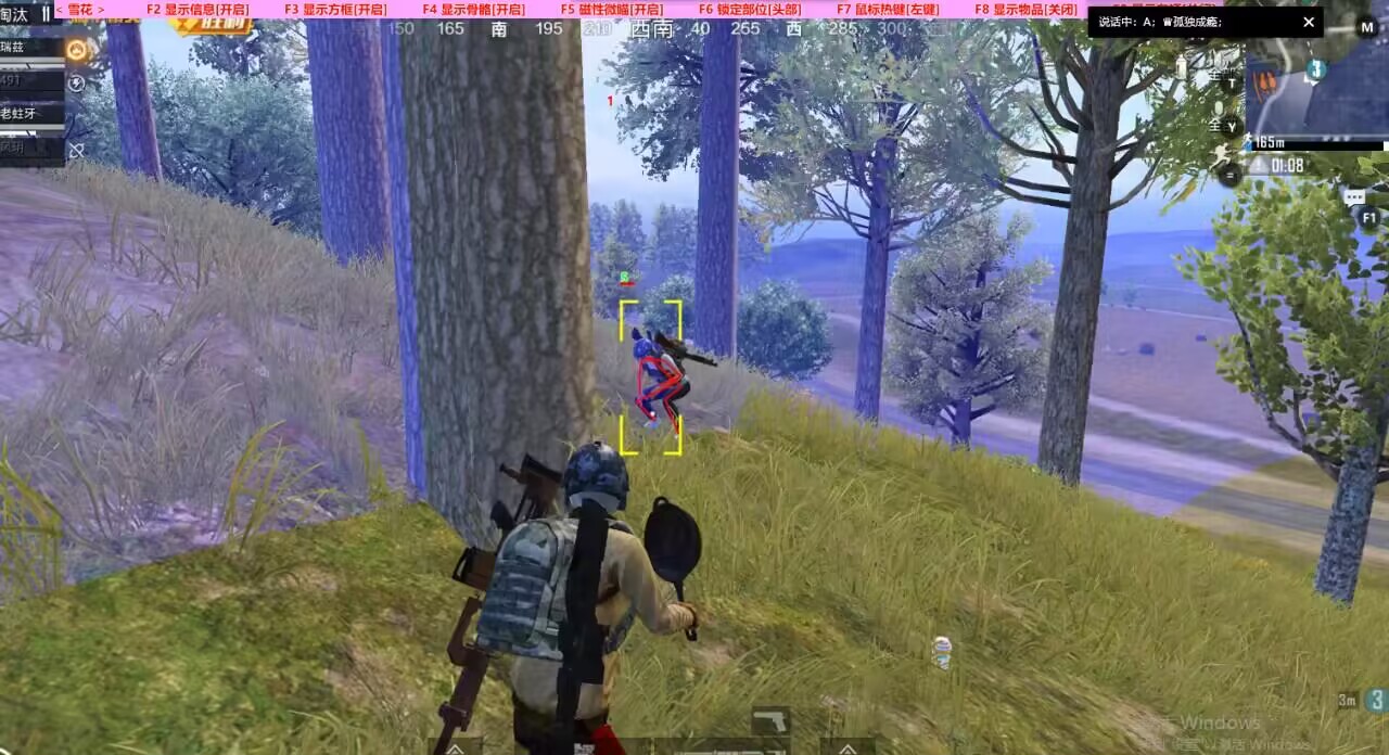 突破游戏界限:探索和平精英辅助工具的神秘世